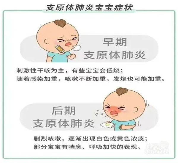 支原体2
