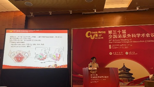 泌尿2