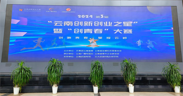 创新之星1
