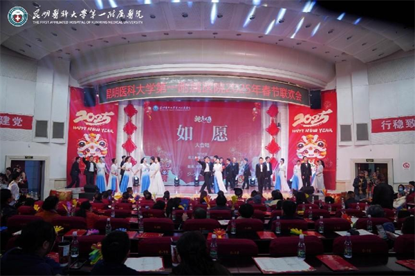 晚会15