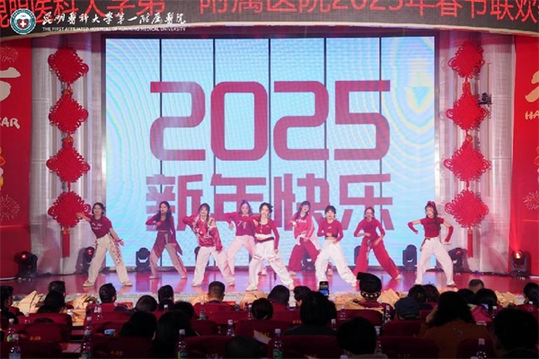 晚会13