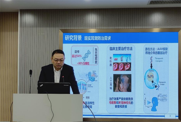 柴3