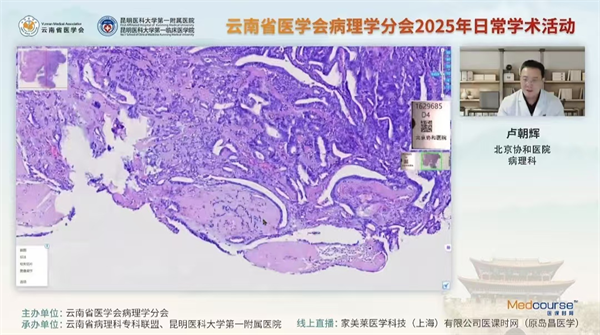 病理2