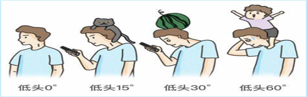 颈椎1